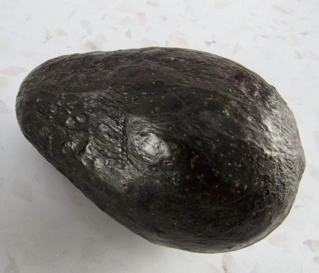 avocado
